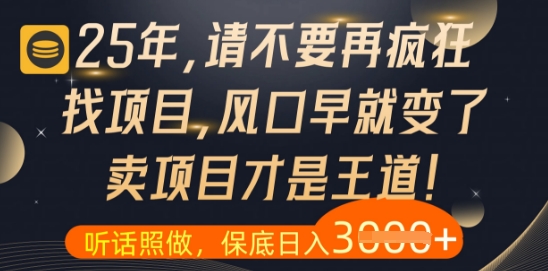 什么？25年你还在疯狂找项目做，醒醒吧，看完这些你全都懂了【揭秘】-三月轻创
