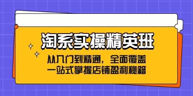 淘系实操精英班：从入门到精通，全面覆盖，一站式掌握店铺盈利秘籍-三月轻创