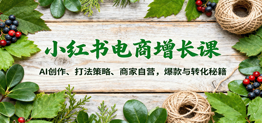 小红书电商增长课:AI创作、打法策略、商家自营,爆款与转化秘籍-三月轻创