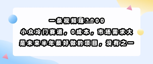 一条视频挣1k，小众冷门赛道，0成本，市场需求大，是未来半年最好做的项目，没有之一-三月轻创