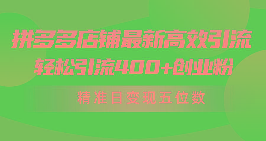 (10041期)拼多多店铺最新高效引流术，轻松引流400+创业粉，精准日变现五位数！-三月轻创