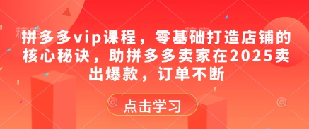 拼多多vip课程，零基础打造店铺的核心秘诀，助拼多多卖家在2025卖出爆款，订单不断-三月轻创