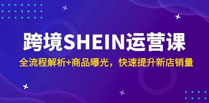 （14832期）跨境SHEIN运营课，全流程解析+商品曝光，快速提升新店销量-三月轻创