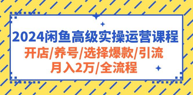 2024闲鱼高级实操运营课程：开店/养号/选择爆款/引流/月入2万/全流程-三月轻创