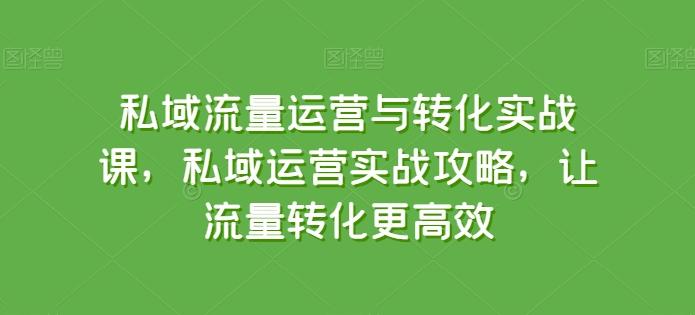 私域流量运营与转化实战课，私域运营实战攻略，让流量转化更高效-三月轻创