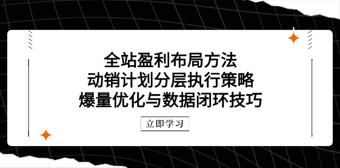 全站盈利布局方法：动销计划分层执行策略，爆量优化与数据闭环技巧-三月轻创