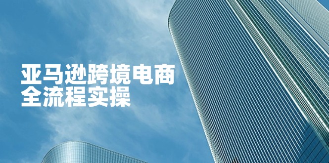 亚马逊跨境电商全流程实操，教你从零开始，掌握店铺运营与广告技巧-三月轻创