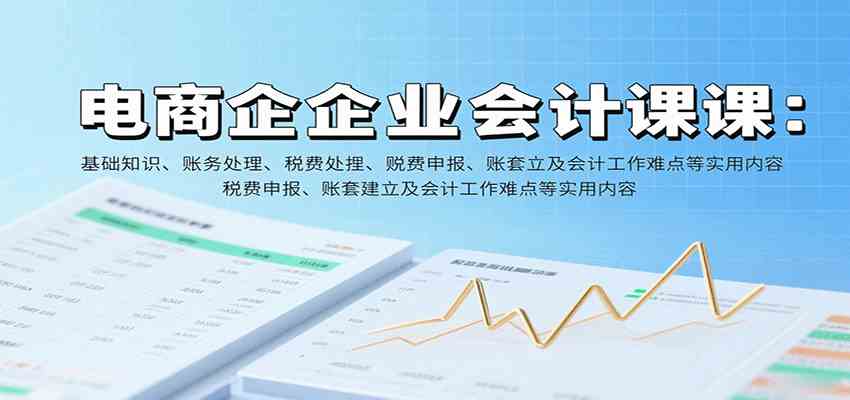电商企业会计课：基础知识、账务处理、税费申报、账套建立及会计工作难点等实用内容-三月轻创