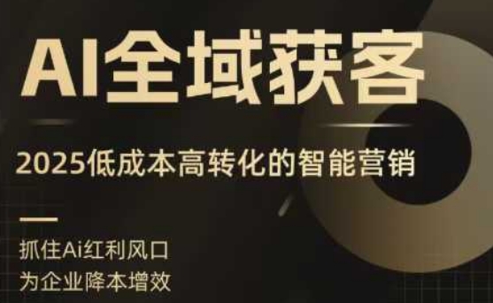 AI全域获客实训营，2025低成本高转化的智能营销，精准找客，高效营销-三月轻创