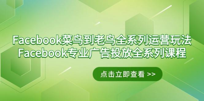 Facebook-菜鸟到老鸟全系列运营玩法+Facebook-专业广告投放全系列课程-三月轻创