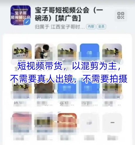宝子哥头部团队短视频带货，以混剪为主，不需要真人出镜，不需要拍摄【更新11月】-三月轻创