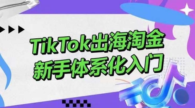 TikTok出海淘金，新手体系化入门，零基础快速入门，掌握短视频、直播带货等引流到变现的知识-三月轻创
