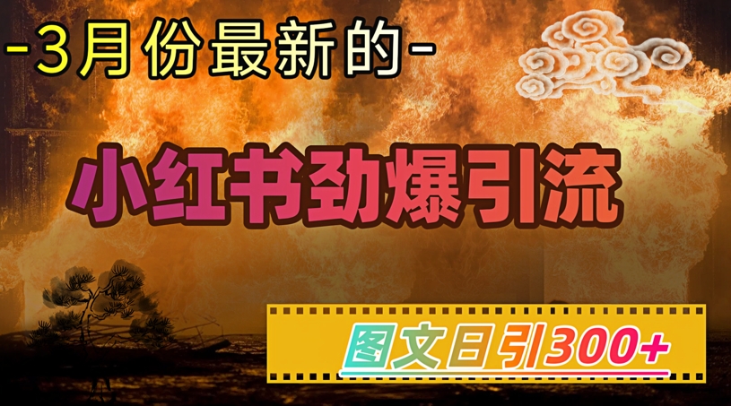 小红书超劲爆引流手段，图文日引300+轻松变现1W-三月轻创