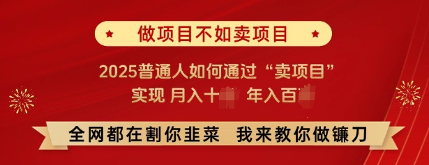 必看，做项目不如卖项目，2025普通人如何通过“卖项目”实现月入十个，年入百个-三月轻创