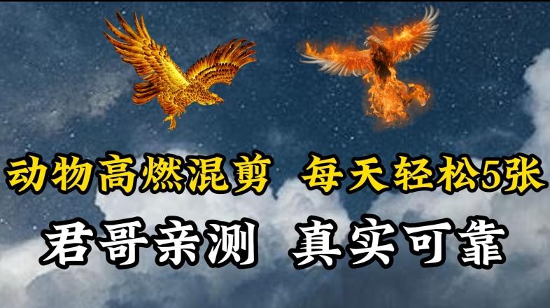 动物超燃混剪，每天轻松5张，剪辑简单大家爱看【揭秘】-三月轻创