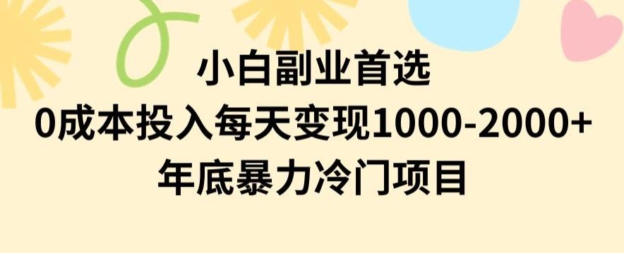 小白副业首选，0成本投入，每天变现1000-2000年底暴力冷门项目【揭秘】-三月轻创