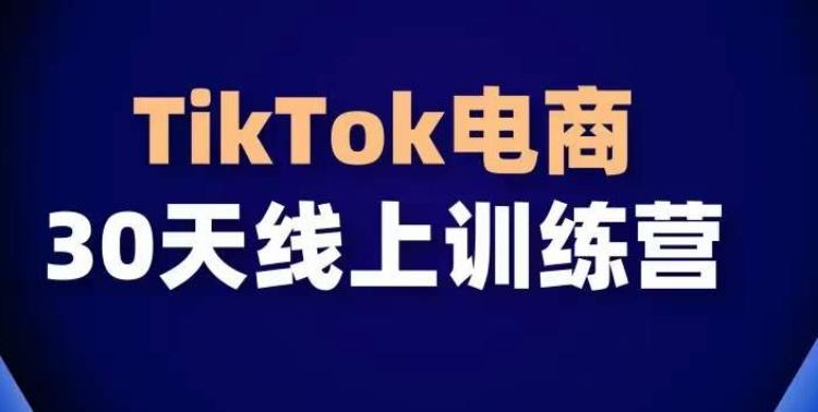 TikTok电商带货30天线上课，不可错过的全球流量洼地！-三月轻创