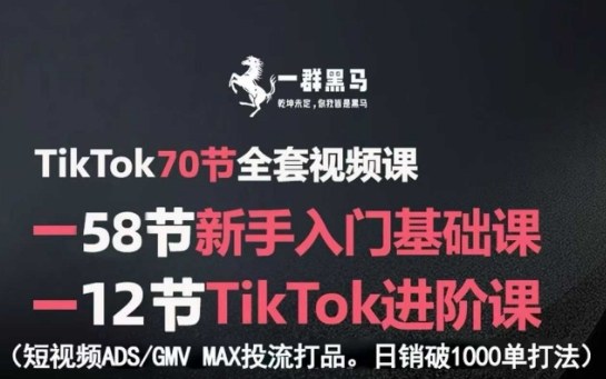 TikTok全套视频课，新手入门+进阶课，短视频ADS-GMV MAX投流打品，日销破1000单打法-三月轻创