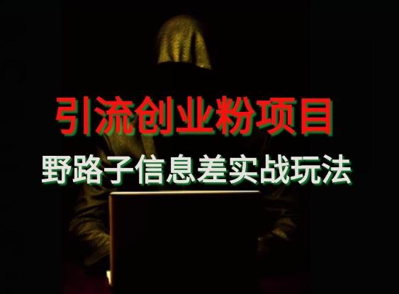 【引流创业粉】野路子信息差玩法实战教学-三月轻创