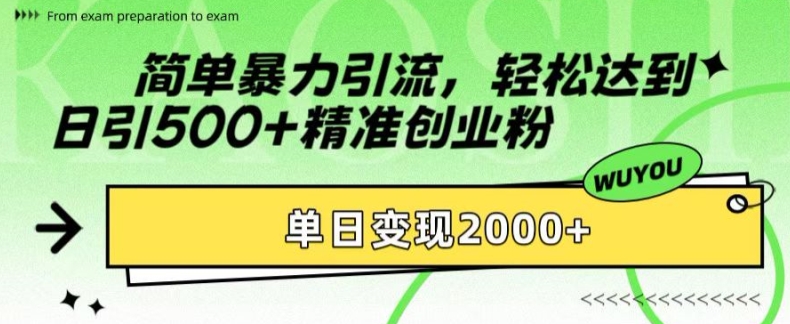 简单暴力引流，轻松达到日引500+精准创业粉，单日变现2k【揭秘】-三月轻创