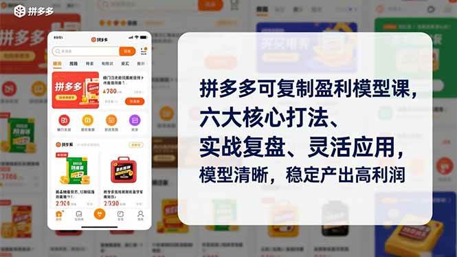 (16952期)拼多多可复制盈利模型课,六大核心打法、实战复盘、灵活应用,模型清晰,稳定产出高利润-三月轻创