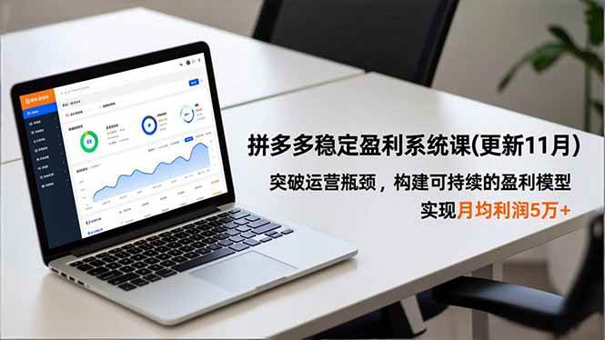 (16641期)拼多多稳定盈利系统课(更新11月),突破运营瓶颈,构建可持续的盈利模型,实现月均利润5万+-三月轻创