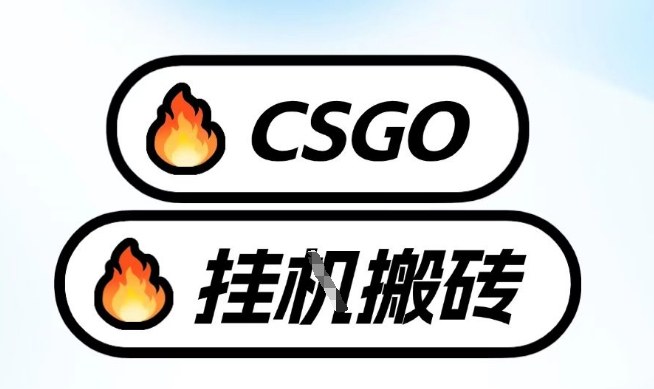 真全网独家CSGO挂G，最新玩法,单日捡漏1K+，不用电脑，不用打游戏【揭秘】-三月轻创