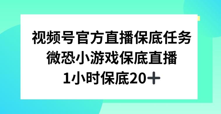 视频号直播任务，微恐小游戏，1小时20+【揭秘】-三月轻创