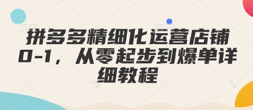 拼多多精细化运营店铺0-1，从零起步到爆单详细教程-三月轻创