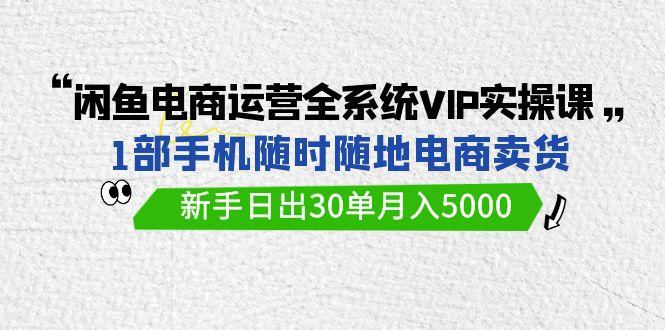 (9547期)闲鱼电商运营全系统VIP实战课，1部手机随时随地卖货，新手日出30单月入5000-三月轻创