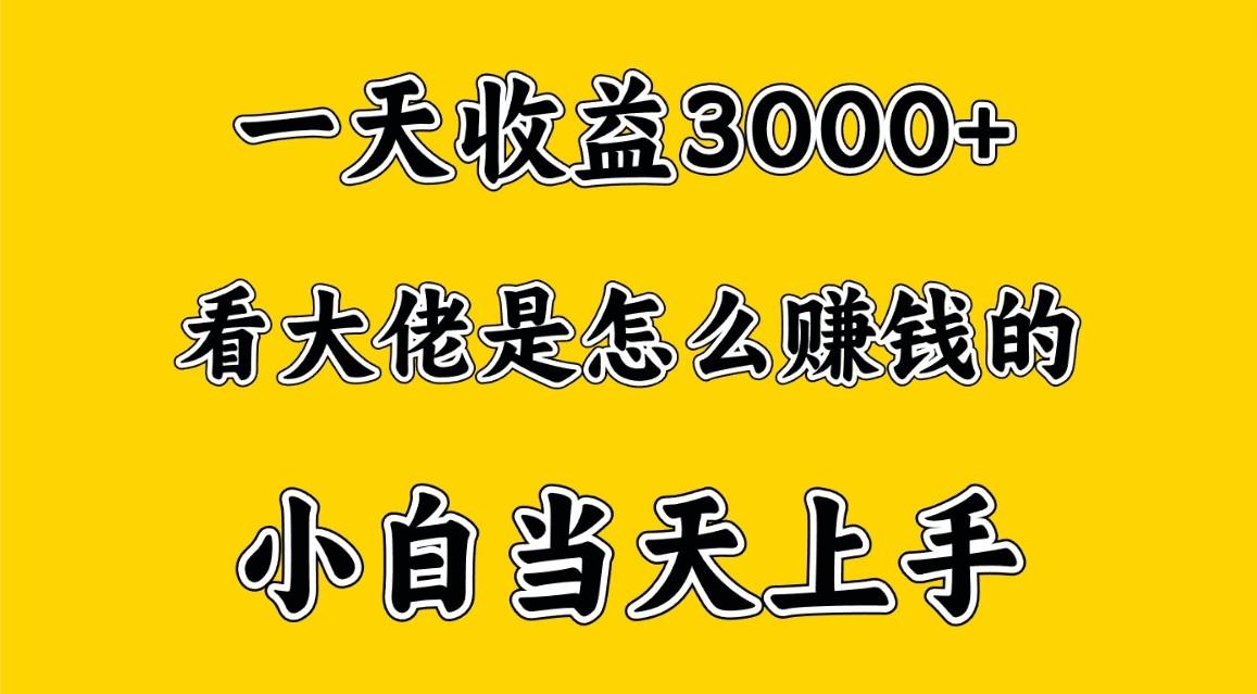 一天赚3000多，大佬是这样赚到钱的，小白当天上手，穷人翻身项目-三月轻创