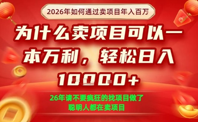 一单净利润1K+,26年想年入100个W,死磕卖项目就够了【揭秘】-三月轻创