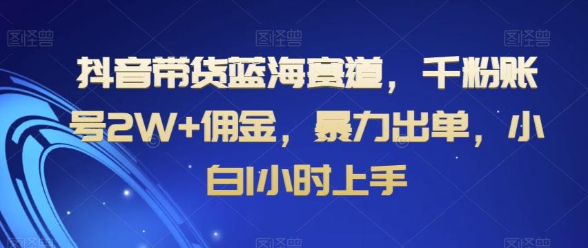 抖音带货蓝海赛道，千粉账号2W+佣金，暴力出单，小白1小时上手【揭秘】-三月轻创