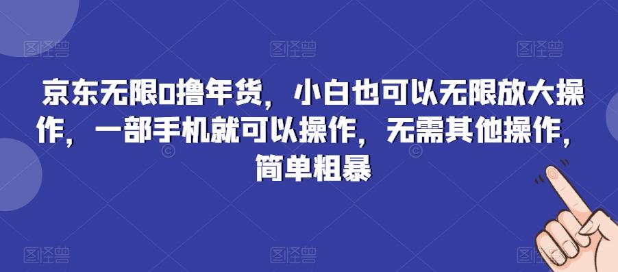 京东无限0撸年货，小白也可以无限放大操作，一部手机就可以操作，无需其他操作，简单粗暴-三月轻创