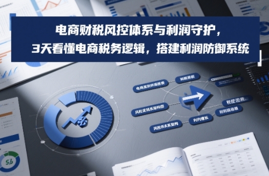 电商财税风控体系与利润守护，3天看懂电商税务逻辑，搭建利润防御系统-三月轻创