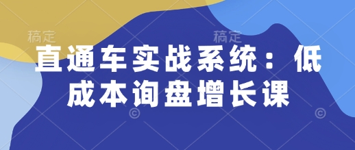 直通车实战系统：低成本询盘增长课，让个人通过技能实现升职加薪，让企业低成本获客，订单源源不断-三月轻创