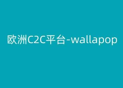 欧洲C2C平台-wallapop-kim跨境电商教程-三月轻创