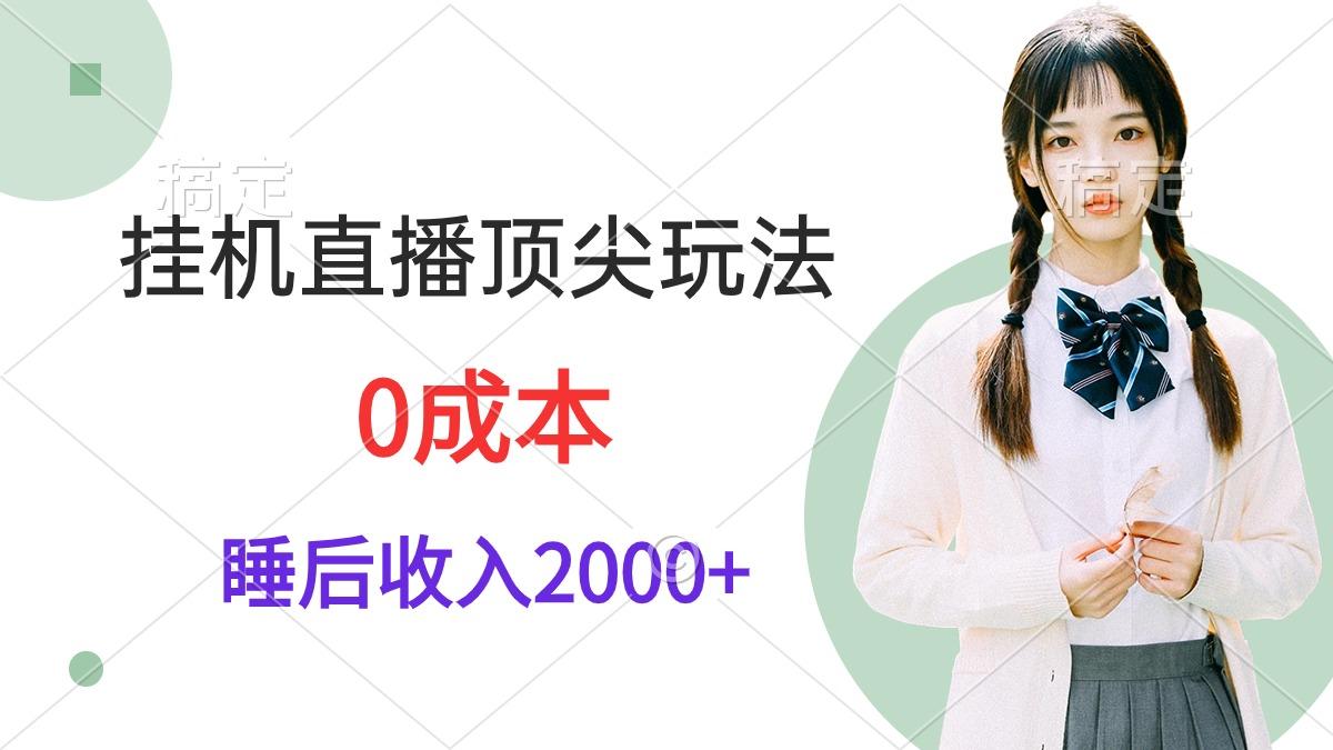 (9715期)挂机直播顶尖玩法，睡后日收入2000+、0成本，视频教学-三月轻创