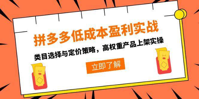 （15143期）拼多多低成本盈利实战，类目选择与定价策略，高权重产品上架实操-三月轻创