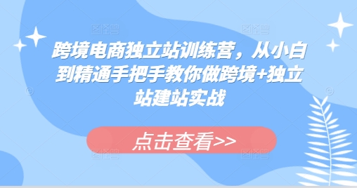 跨境电商独立站训练营，从小白到精通手把手教你做跨境+独立站建站实战-三月轻创