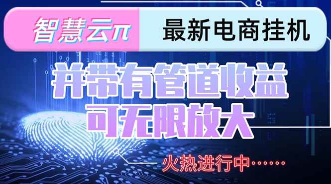 （15314期）智慧云π电脑挂机单机每天收益300—500+ 并带有团队管道收益 可无限放大-三月轻创