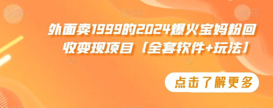 外面卖1999的2024爆火宝妈粉回收变现项目【全套软件+玩法】【揭秘】-三月轻创