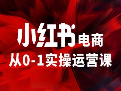 小红书电商从0-1实操运营课，让你从小白到精英-三月轻创