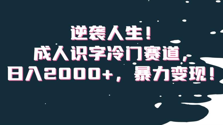 逆袭人生！成人识字冷门赛道，日入2000+，暴力变现！【揭秘】-三月轻创