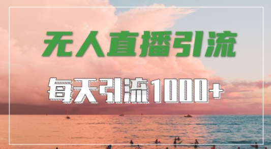 抖音快手视频号全平台通用，无人直播引流法，超暴力引流1000+高质量精准创业粉【揭秘】-三月轻创