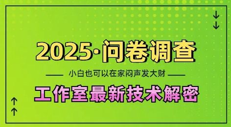 2025问卷调查最新工作室技术解密：一个人在家也可以闷声发大财，小白一天2张，可矩阵放大【揭秘】-三月轻创