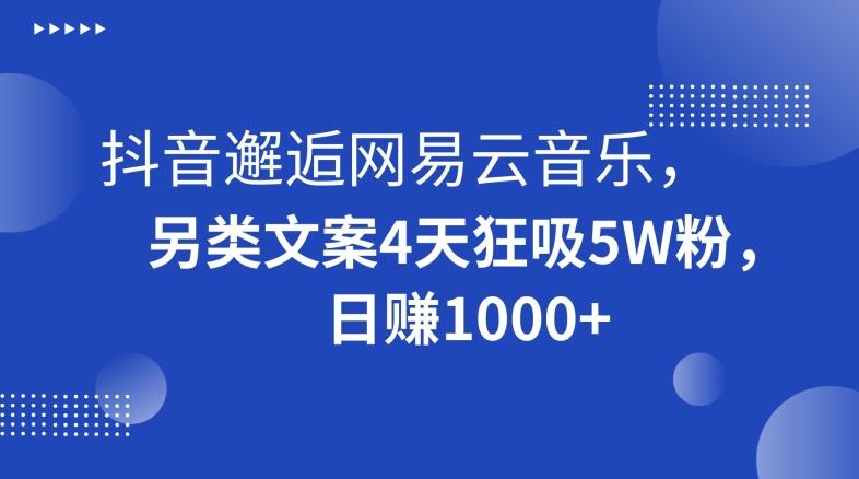 抖音邂逅网易云音乐，另类文案4天狂吸5W粉，日赚1000+【揭秘】-三月轻创