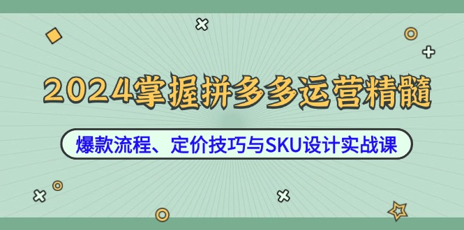 2024掌握拼多多运营精髓：爆款流程、定价技巧与SKU设计实战课-三月轻创