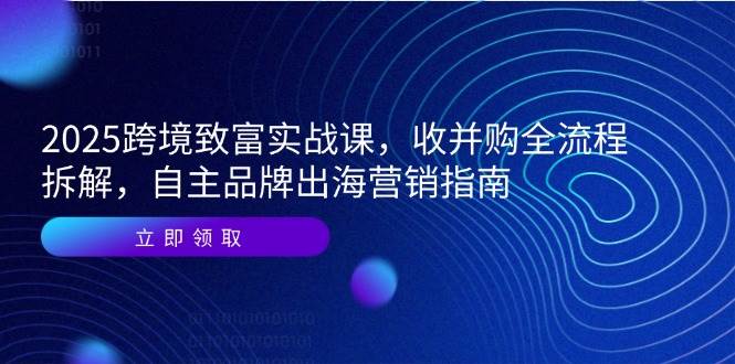 （14975期）2025跨境致富实战课，收并购全流程拆解，自主品牌出海营销指南-三月轻创