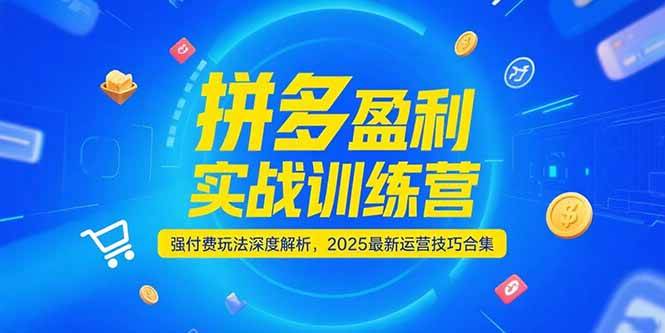 （15183期）拼多多盈利实战训练营，强付费玩法深度解析，2025最新运营技巧合集-三月轻创